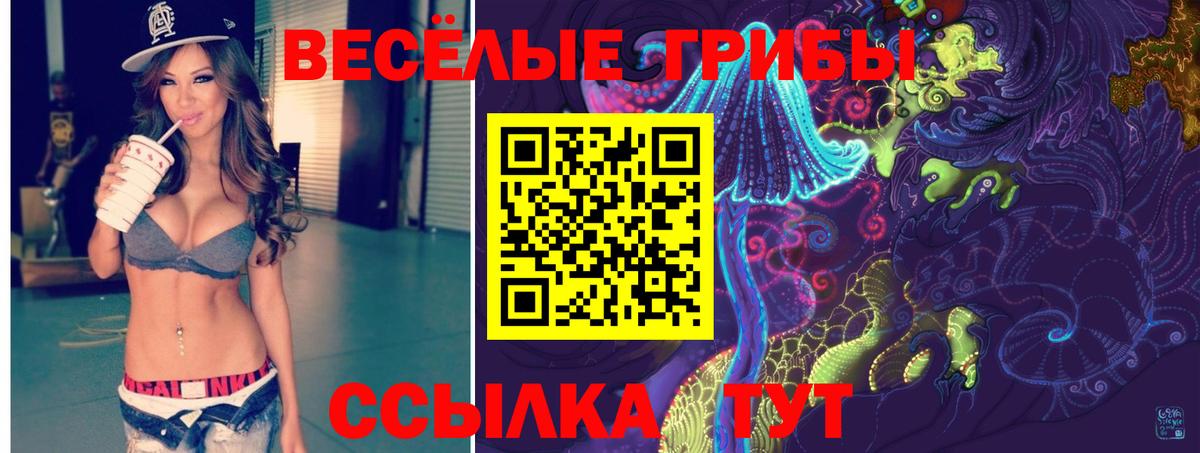 Галлюциногенные грибы мухоморы Чайковский